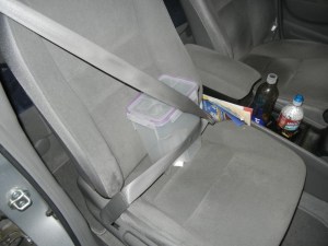 Traveling at speeds not usually attained by serpents