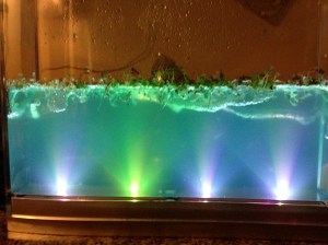 Pretty sure there is a coke dealer in there