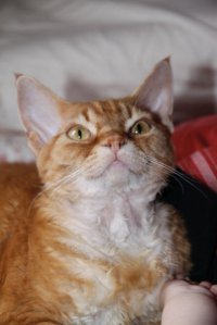 The good ole days...