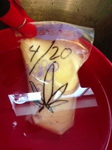 So I was thawing some breast milk and I think this could be a weird day for the baby... JK.