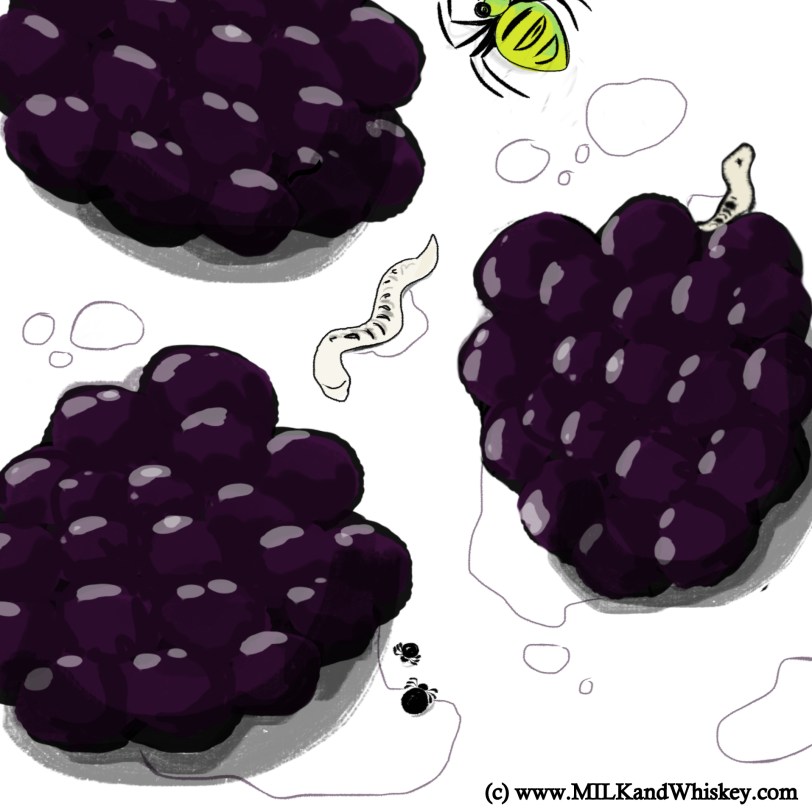 (c) www.MILKandWhiskey.com