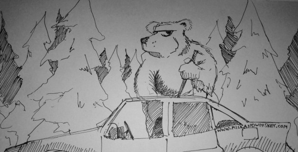 Bears... nature's car thief.