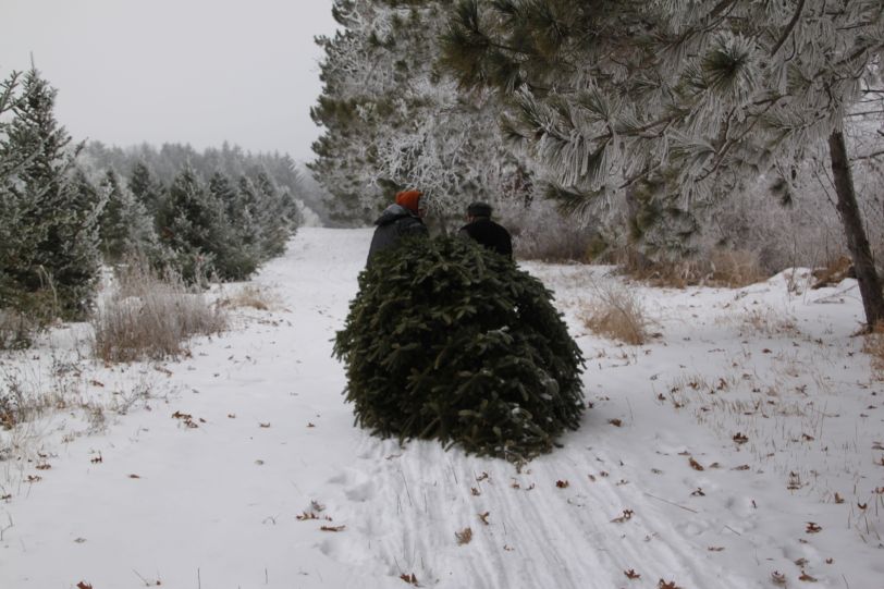 A found opportunity for some peppering. 