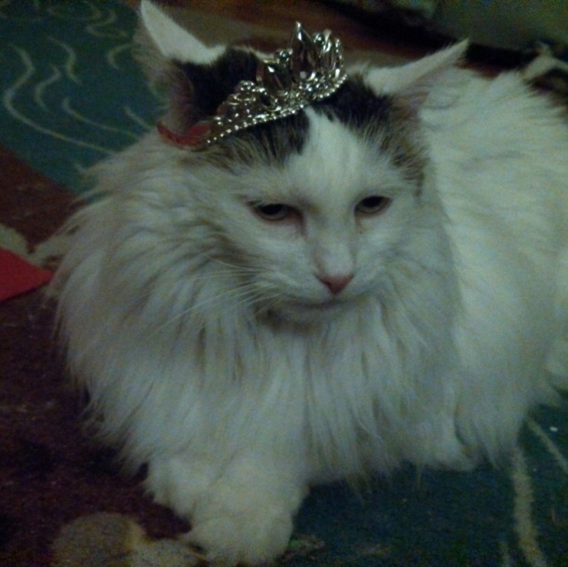 2013-12-27 19.06.10-1