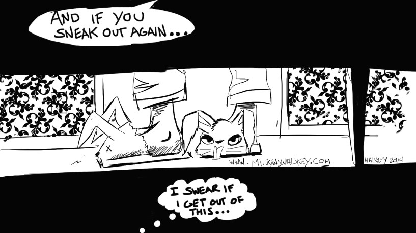 This was my magical evening. 