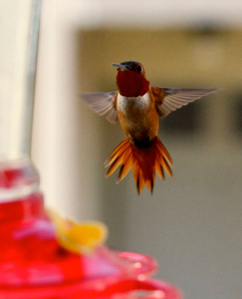 Hey man, why you so close to our stash?