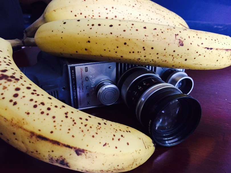 I Hate Monkey Movies. 